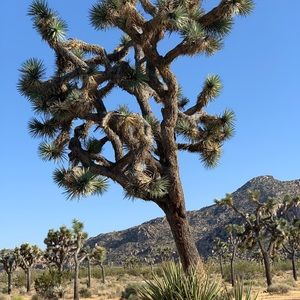 Meet your Posher, Adrielle